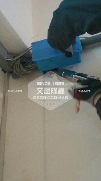 新北捕鼠滅鼠防治作業