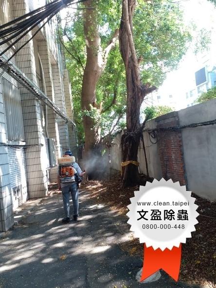 新北學校環境消毒投藥