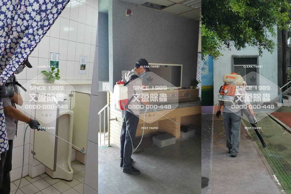 文盈蟲害防治企業社全新官網正式上線