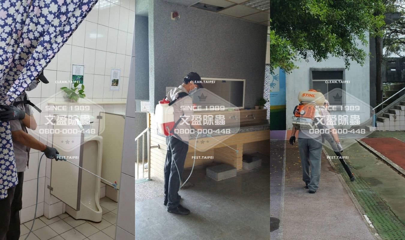 文盈蟲害防治企業社全新官網正式上線