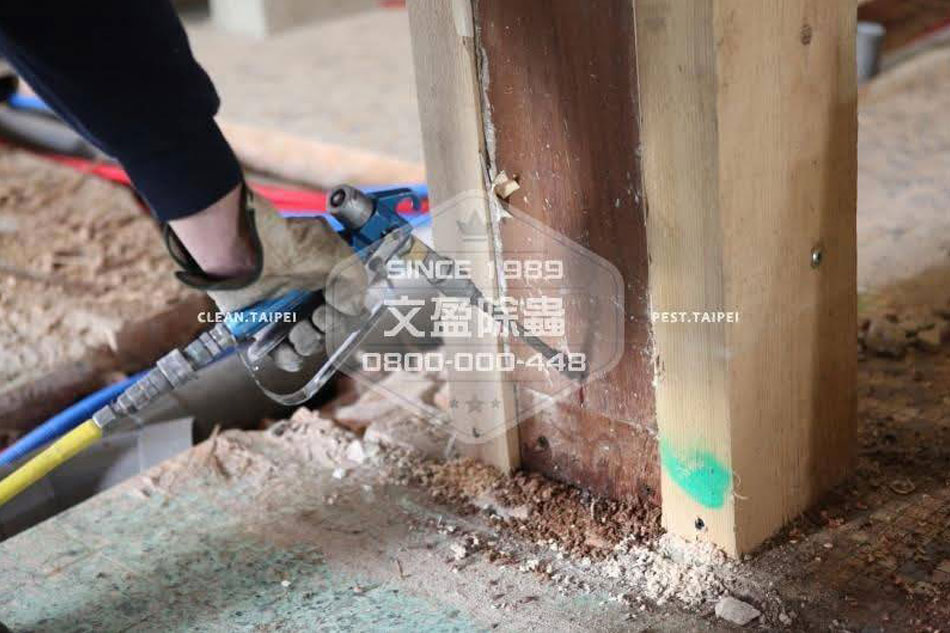 文盈除蟲擁有多年專業經驗，累積無數客戶口碑好評