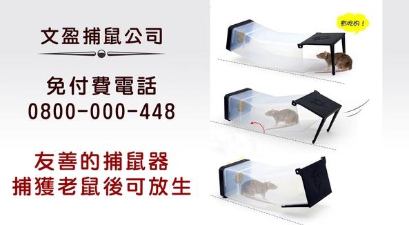 友善的捕鼠器