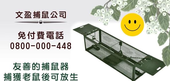 友善的捕鼠器
